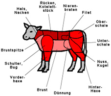 KALTLESUNGEN im RAUM FÜR ZWECKFREIHIET, Berlin